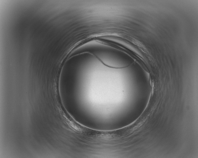 X0000072951177200608041300