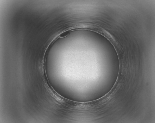 X0000072951178200608041300