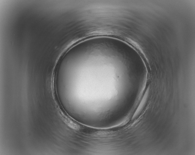 X0000072951179200608041300