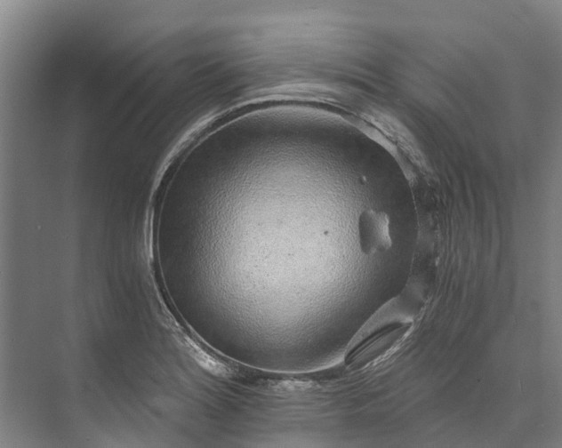 X0000072951180200608041300