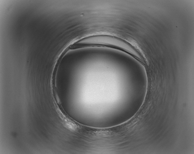 X0000072951181200608041300