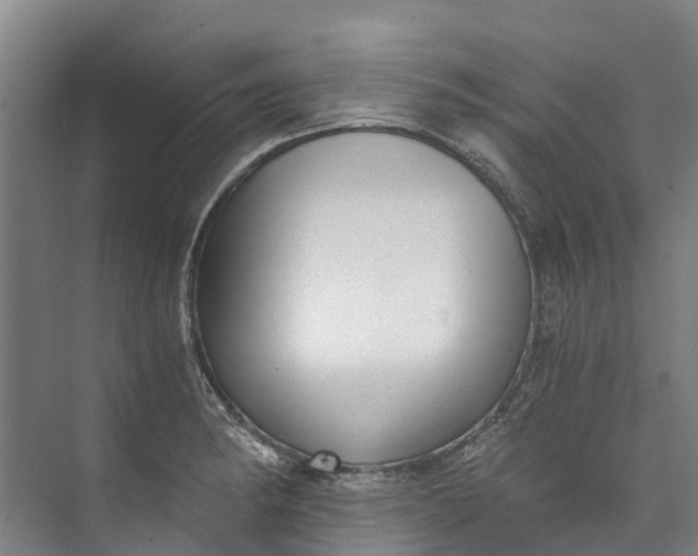 X0000072951182200608041300