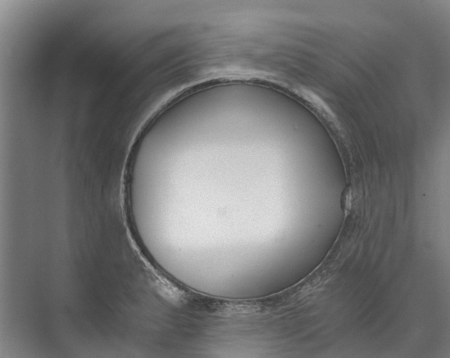 X0000072951183200608041300