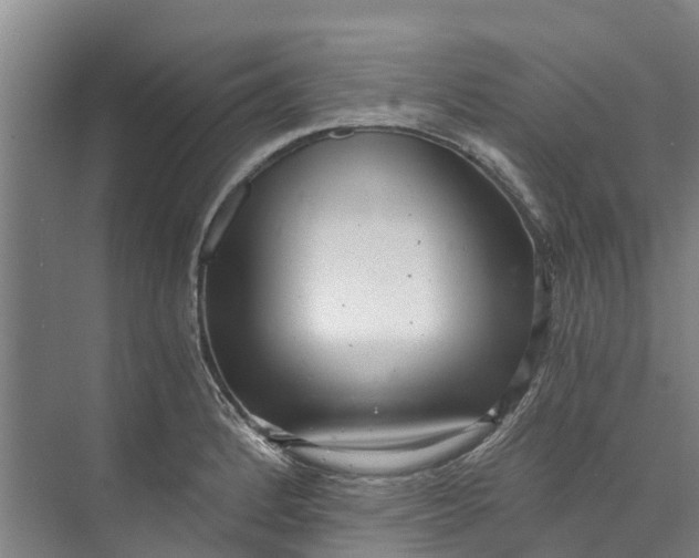 X0000072951184200608041300