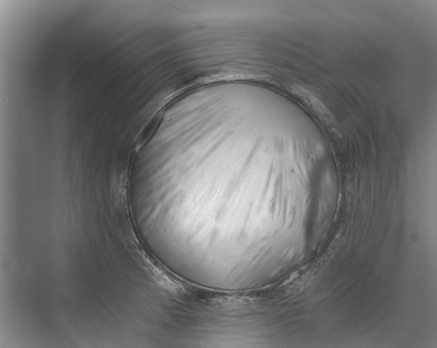 X0000072951185200608041300