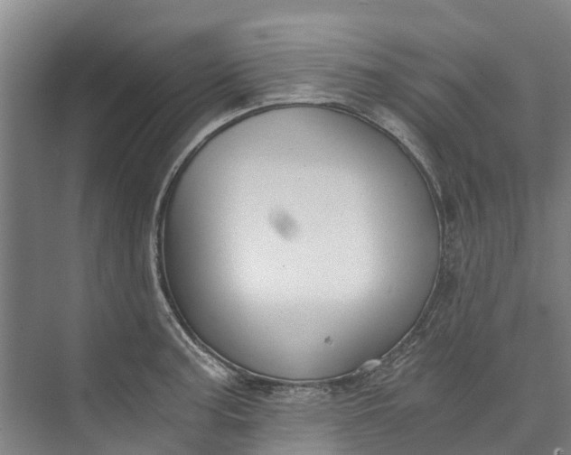 X0000072951187200608041300