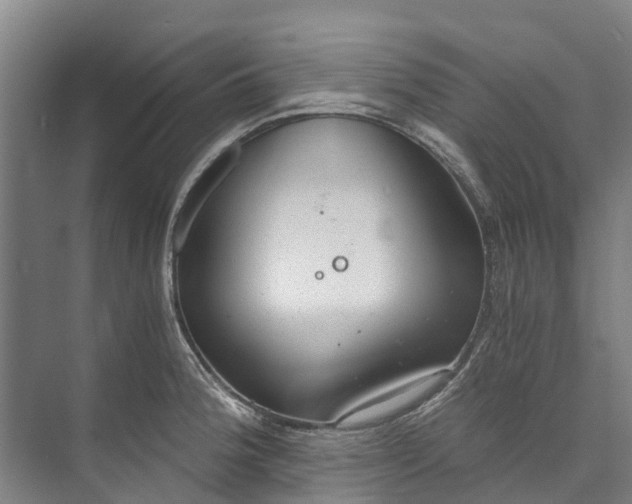 X0000072951188200608041300