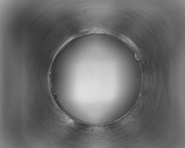 X0000072951190200608041300