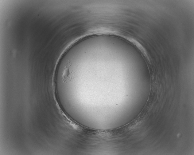 X0000072951191200608041300