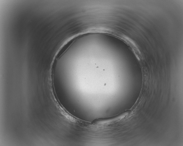 X0000072951192200608041300