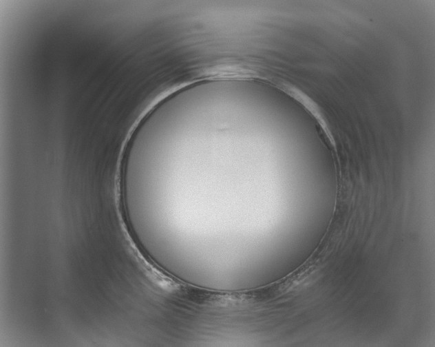 X0000072951195200608041259