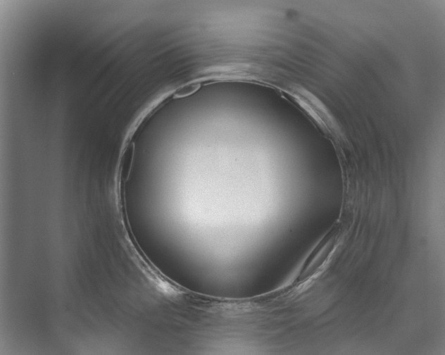 X0000072951196200608041259