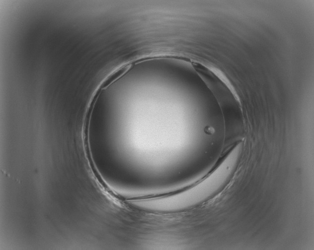 X0000072951197200608041259