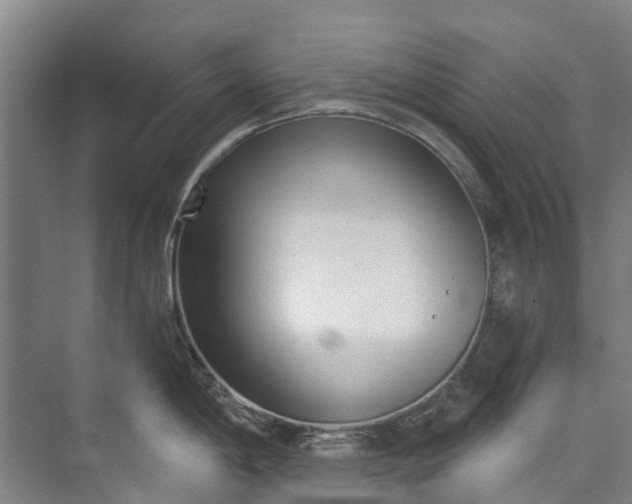 X0000072951198200608041259