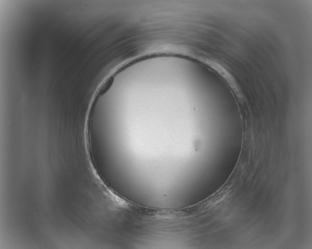 X0000072951199200608041259