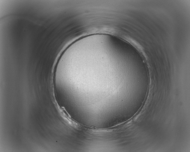 X0000072951200200608041259