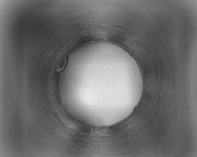 X0000072951201200608041259