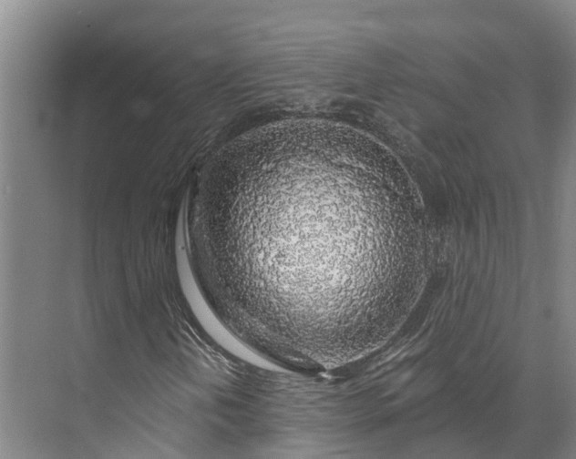 X0000072951202200608041259