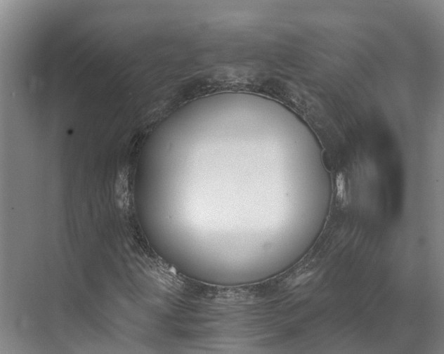 X0000072951203200608041259