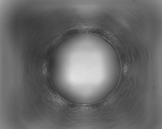 X0000072951204200608041259