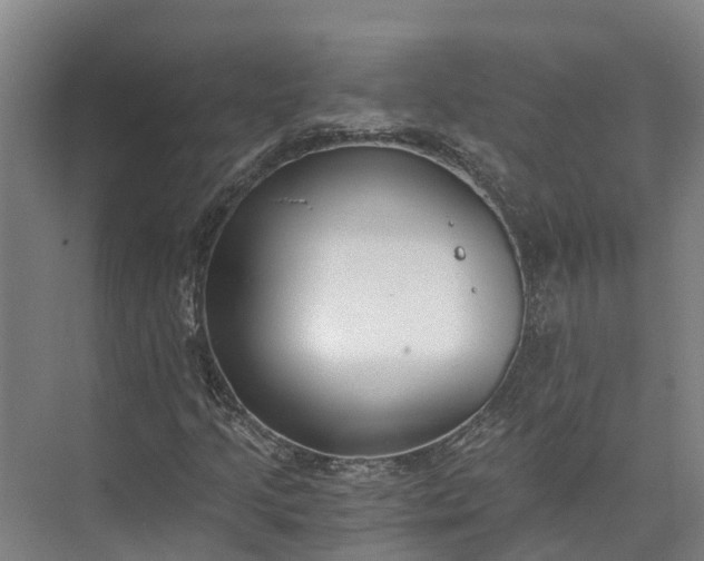 X0000072951205200608041259