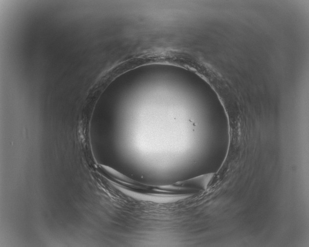 X0000072951206200608041259