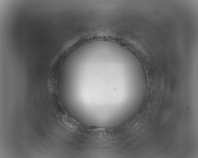 X0000072951207200608041259