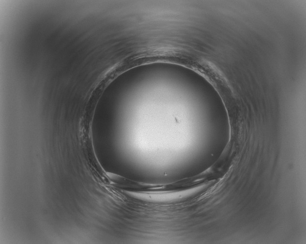 X0000072951210200608041259