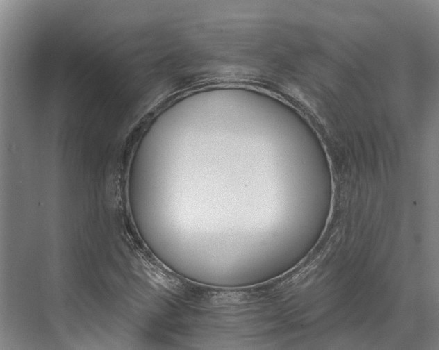 X0000072951211200608041259