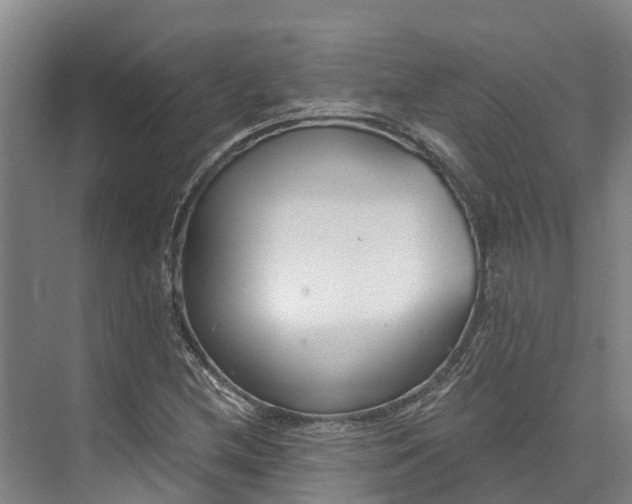 X0000072951212200608041259