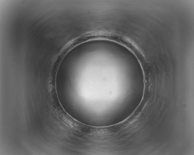 X0000072951213200608041259