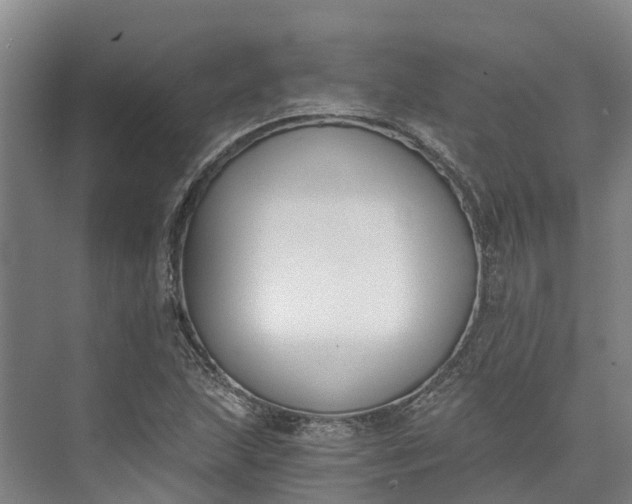 X0000072951215200608041259