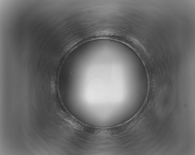 X0000072951217200608041259