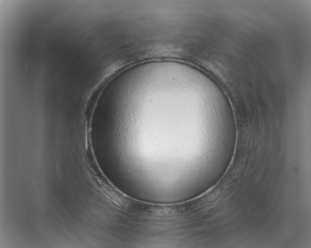 X0000072951219200608041259