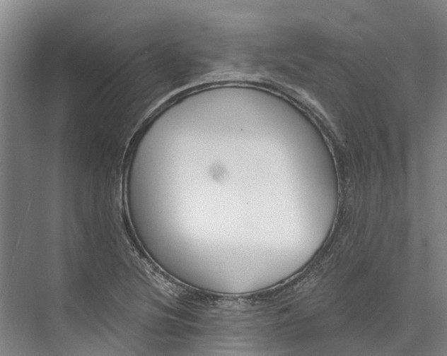 X0000072951220200608041259