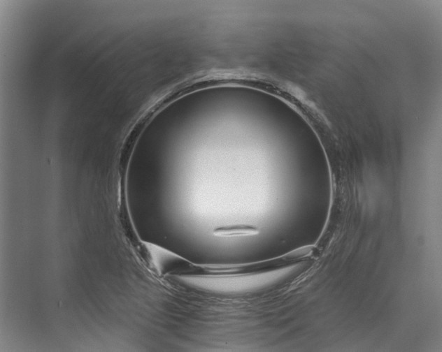 X0000072951221200608041259