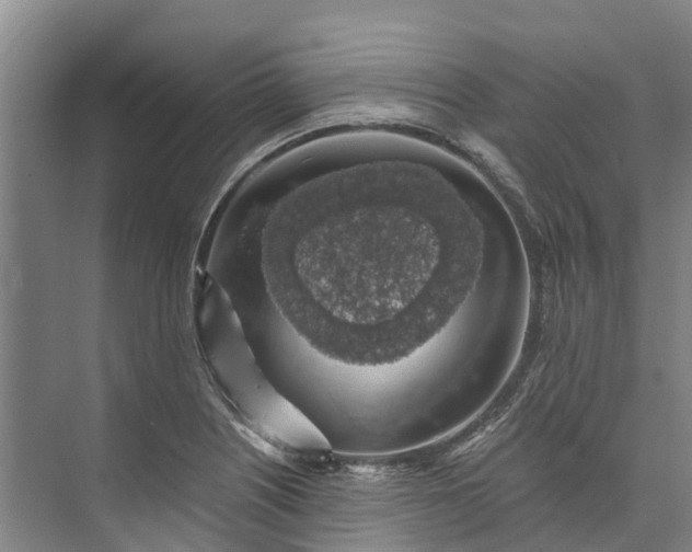 X0000072951226200608041259