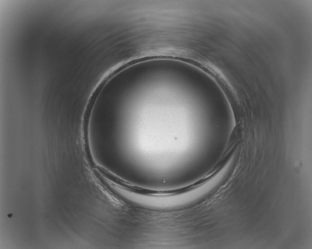 X0000072951230200608041259