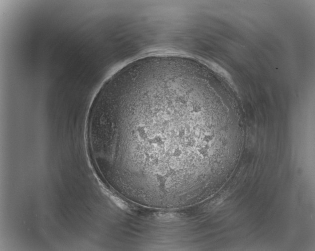 X0000072951231200608041259