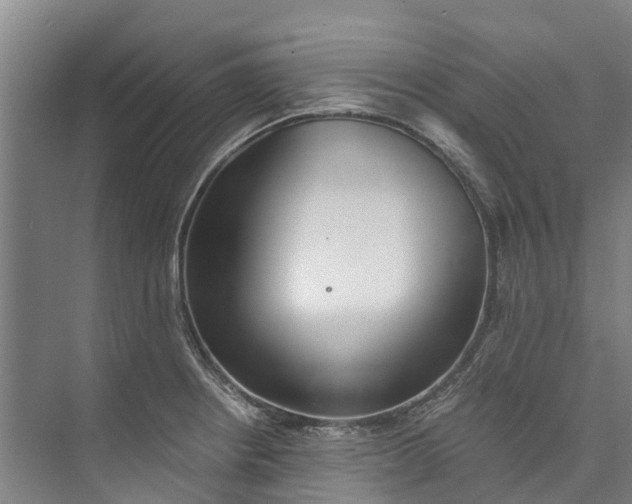 X0000072951234200608041259