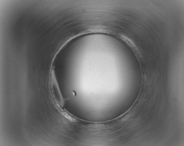 X0000072951236200608041259