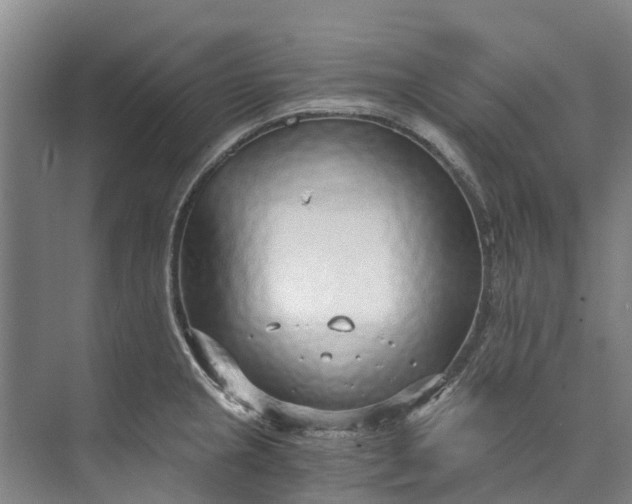 X0000072951237200608041259