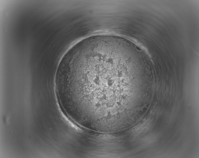 X0000072951239200608041259