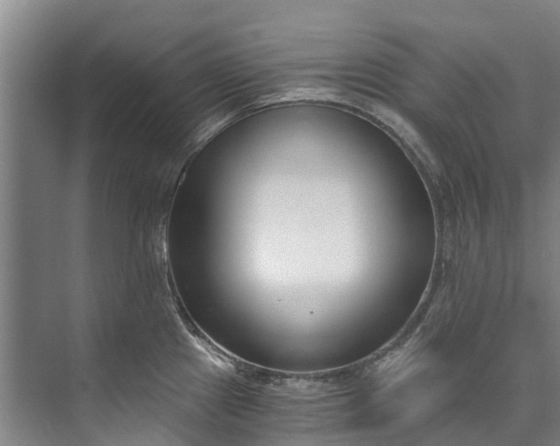 X0000072951241200608041259