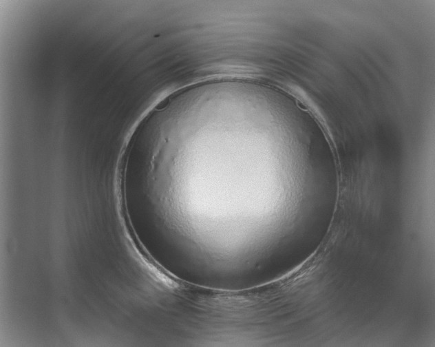 X0000072951243200608041259