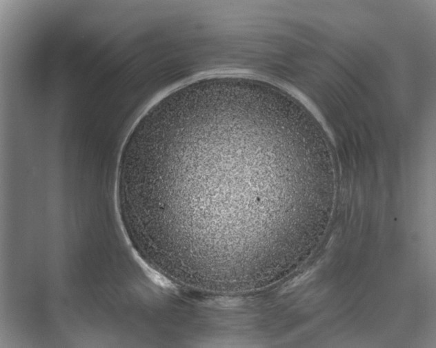 X0000072951245200608041259