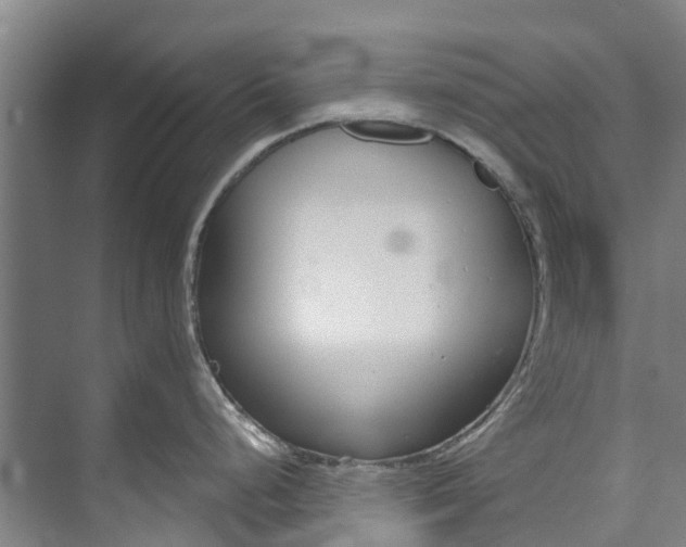 X0000072951248200608041259