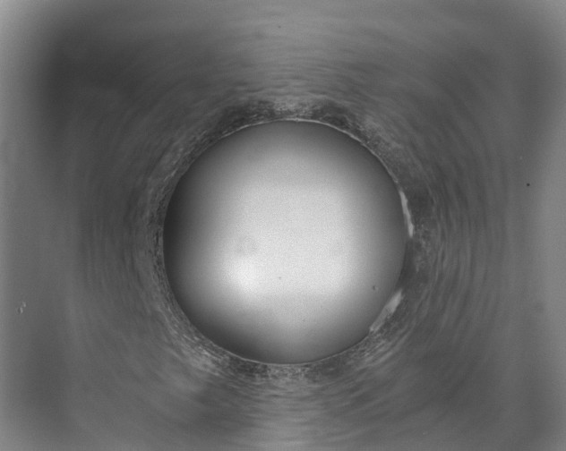 X0000072951249200608041259