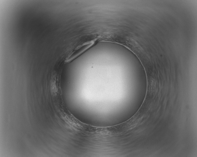 X0000072951250200608041259