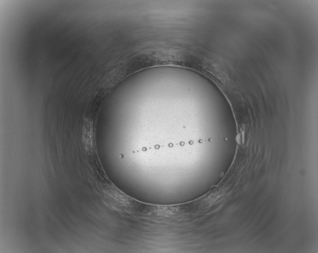 X0000072951251200608041259